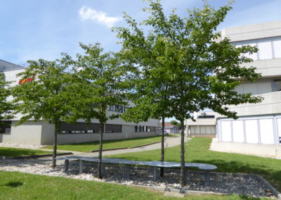 « Sans titre », Christophe Gonnet