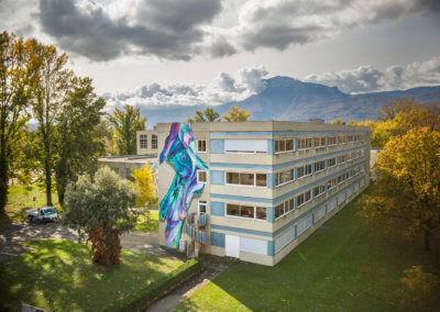 Veiles of knowledge, Rosie Woods, 2020